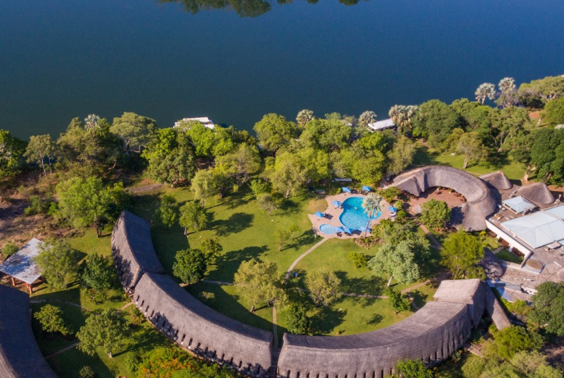 Vídeo: crocodilo invade recepção de hotel e tenta subir no balcão